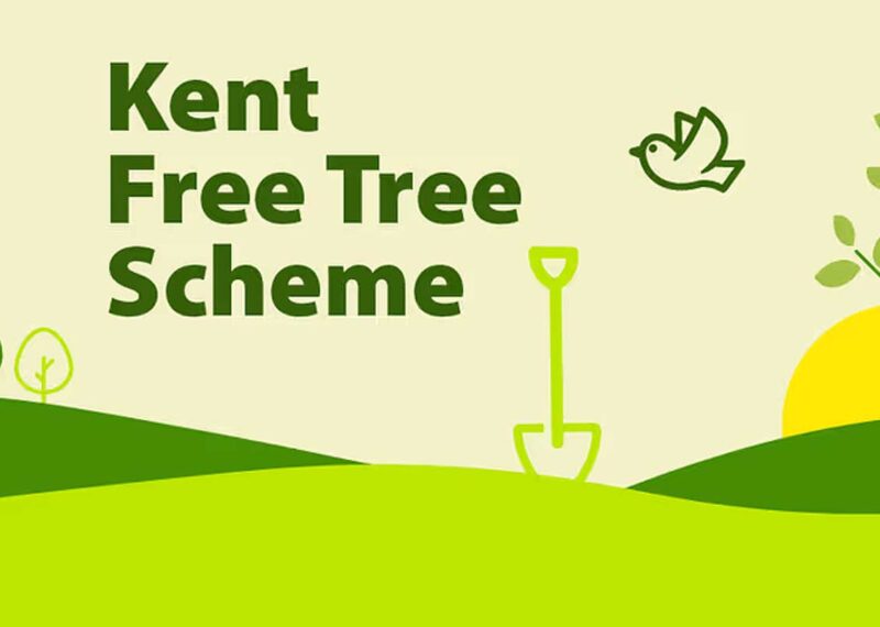 Illustration with Kent Free Tree Scheme logo on sustainable construction news page