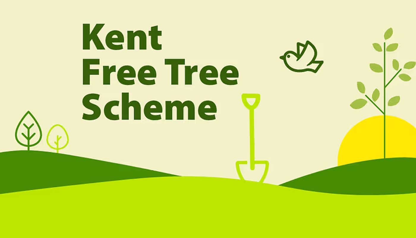 Illustration with Kent Free Tree Scheme logo on sustainable construction news page